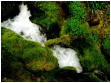 Bitmap 12 ©05 Tim Satterfield