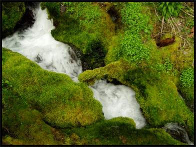 Squaw Creek Falls Trip 0 ©05 Tim Satterfield