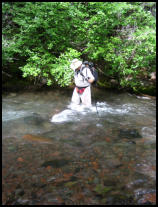 Squaw Creek Falls ©05 Tim Satterfield
