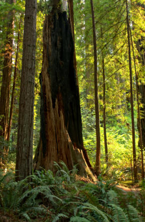 IMGP1578_9_80_81_Detail McK 