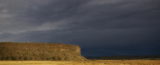 Mckenzie River 246 McK