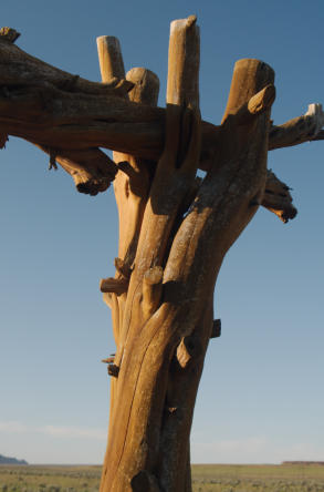 P1940834 Steens Mountain-Frenchglen