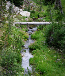 P8136309_1 Creek and Bridge